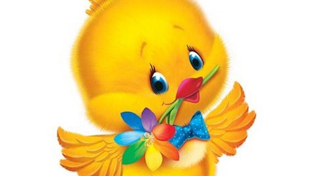 Продажа цыплята несушек Шебекино 89997007683