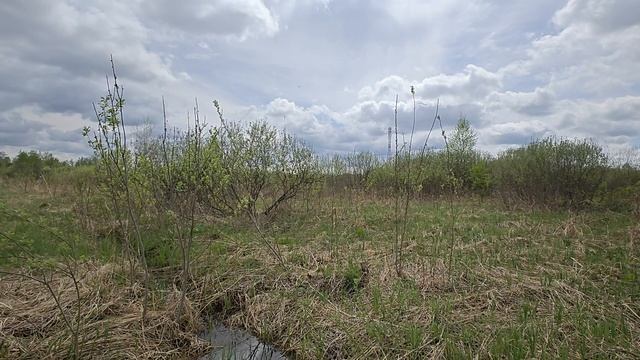 1000056726.mp4 смотреть онлайн
