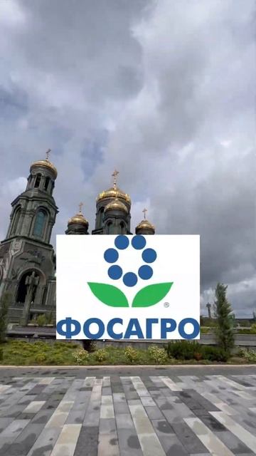 5 дивидендных акций для покупки в 2023 г #инвестиции #фин? смотреть онлайн