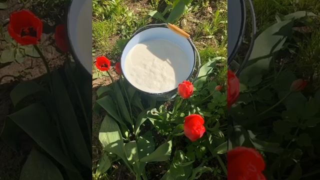 Люблю сыр, занимаюсь сыроделием