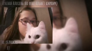 красная плесень - по реке плывёт кирпич (Speed up + текст)