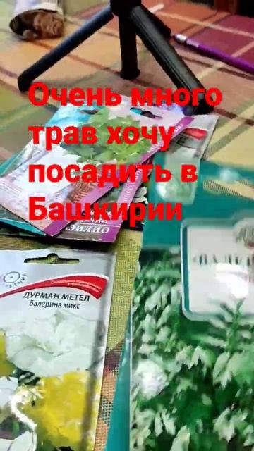 Продолжаю закупки семян смотреть онлайн