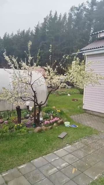 Дождь ☔, ветер и +3С смотреть онлайн