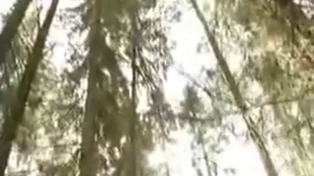 Буте самыми здоровыми ÷) смотреть онлайн