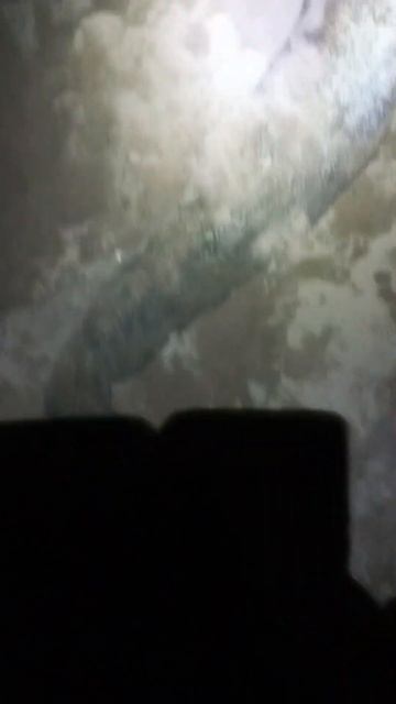 Как правильно определить размер рыбы без рулетки) смотреть онлайн