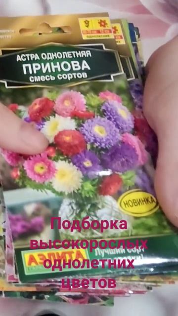 Подборка высоких однолетникой 1 часть. смотреть онлайн