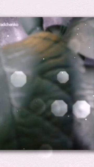 светильник роза настольный