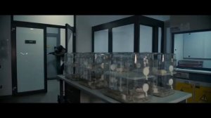 Наёмник 2022 Крис Пайн Гиллиан Джейкобс