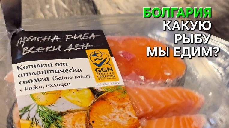 Норвежская сёмга в Болгарии | Какую рыбу мы едим? смотреть онлайн