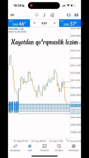 27 августа 2024 г. смотреть онлайн