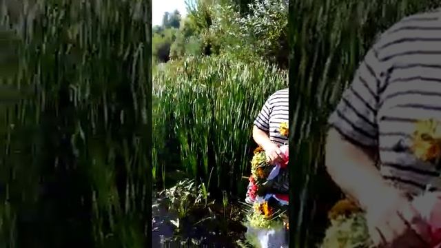 Акция "Цветы памяти" смотреть онлайн