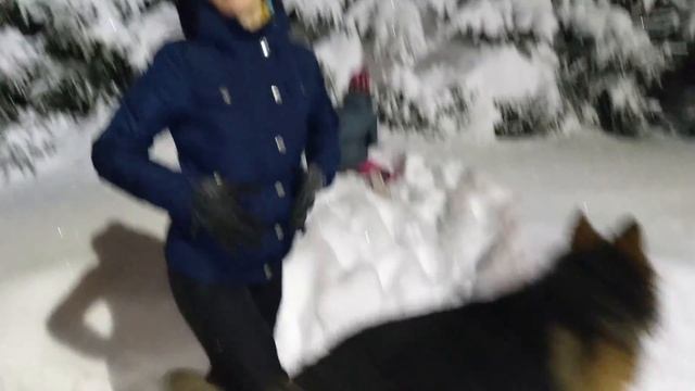 Запуск кайта, зимние приключения и каток 2019