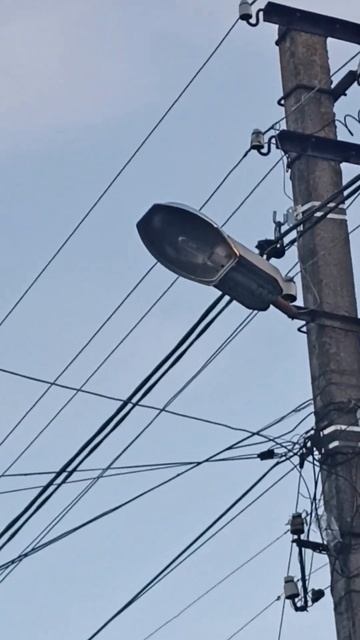 Світильник ЖКУ 16-250 з лампою ДНАТ 150 #вулиця #світильник