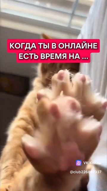 Когда ты в онлайне есть время на... #работаонлайн #зараб смотреть онлайн