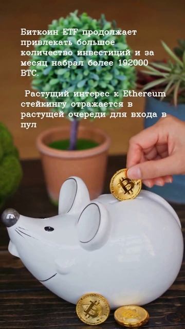 Новости #криптовалют от #ChatGPT на 12.02.2024 смотреть онлайн