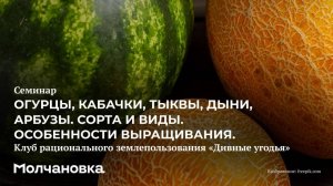 4 сезон 19 семинар. Сорта и виды - огурцы, кабачки, тыквы, дыни и арбузы
