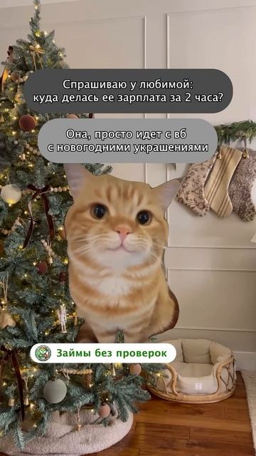 Что правда то правда 🤫 #займ #юмор #микрозайм #мем #зар? смотреть онлайн