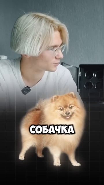 КАКИМ БИЗНЕСОМ ЗАНИМАЕТСЯ МОЛОДОЙ МИЛЛИОНЕР💸#арбитр смотреть онлайн