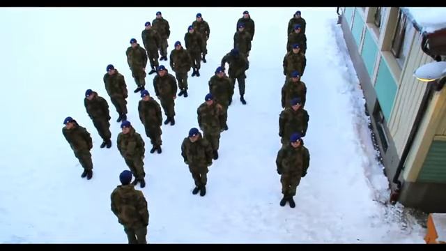 Прикол в армии (Harlem Shake) смотреть онлайн