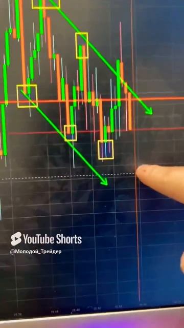 20 января 2025 г.
