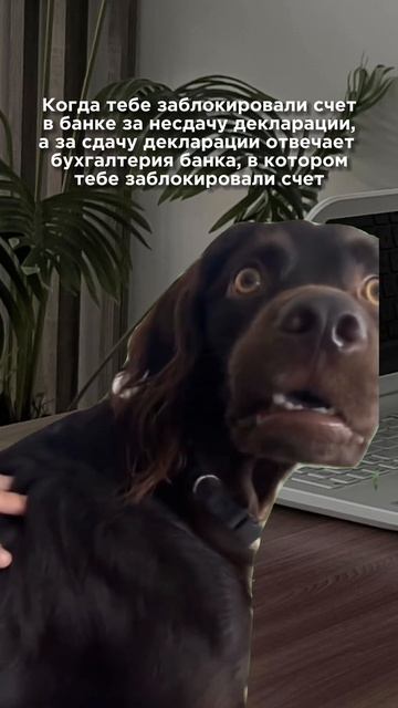 4 серьезных минуса ведения бухгалтерии банком / смотри смотреть онлайн