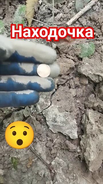 Коп. Поиск Клада. #коп #клад #металлоискатель #монеты #sho смотреть онлайн