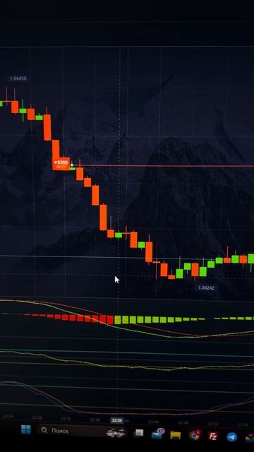 14 февраля 2025 г.