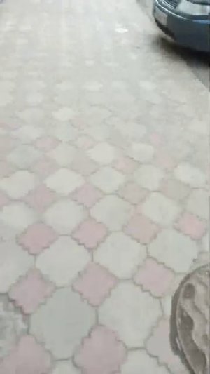 выходной день в магазине светофор