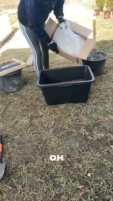 Идеальный грунт для укоренения черенков