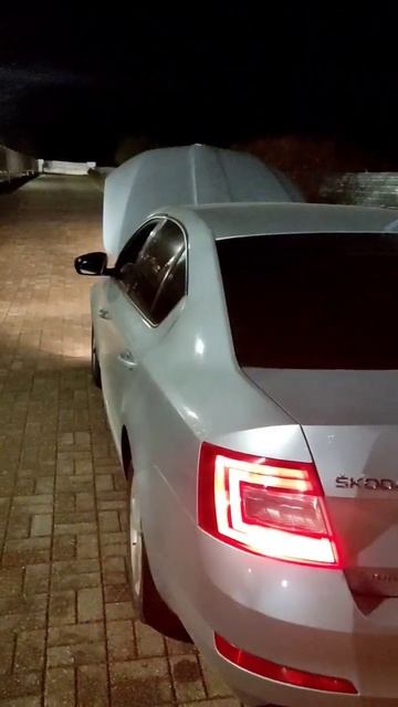 Skoda Octavia Меняем свет H7 и H8 Led  свет пушка 💥 СТГ идеальна