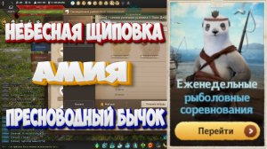 БДО. Небесная щиповка, Амия, Пресноводный бычок. Рыболовные соревнования.  11-17 мая 2025.