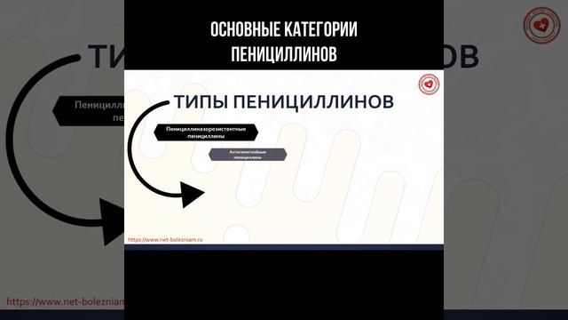 Основные категории пенициллинов #пенициллин #антибио? смотреть онлайн