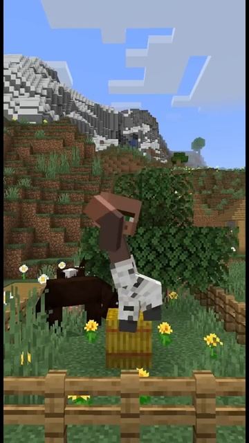 🤣Мама шила мне штаны 🪵🪵// #minecraft #штаны #meme #sorts смотреть онлайн