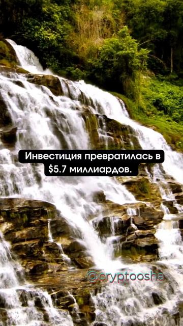 🐕 Как пёс стал богаче Илона Маска #SHIB #shorts #crypto смотреть онлайн