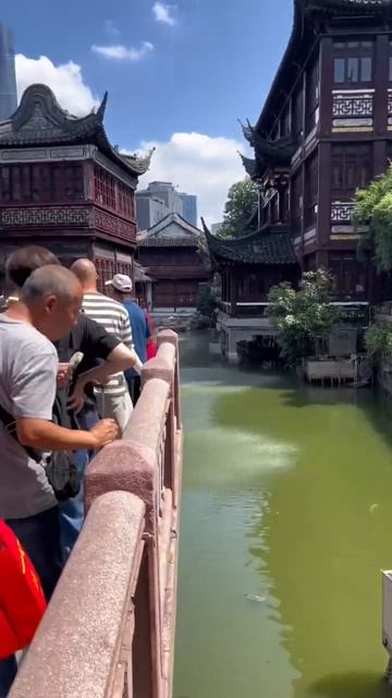 Пересадка 9 часов в Шанхае по дороге на Бали смотреть онлайн