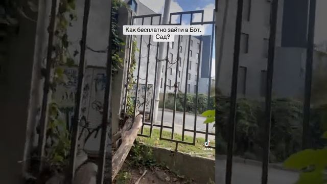 Как зайти в ботанический сад бесплатно в Киеве? Пороки