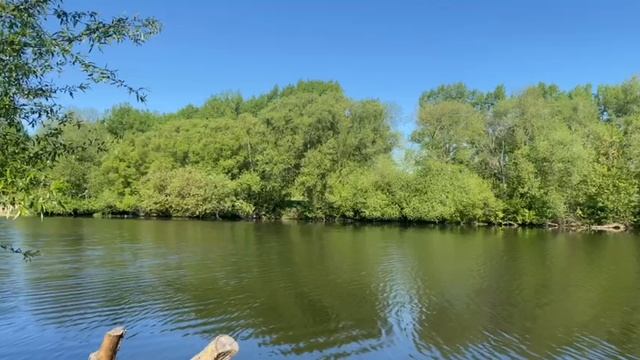 природа смотреть онлайн