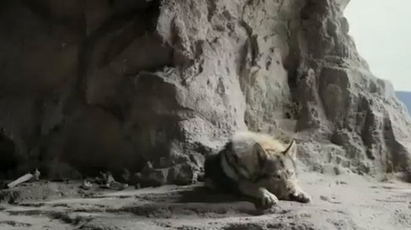 Фильм/Альфа, Смотреть фильм в хорошем качестве, #Новин?