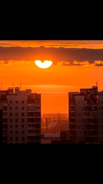 Розовый свет окон - ПЛОХОЙ ПЕВЕЦ#топмузыка #рекомендац смотреть онлайн