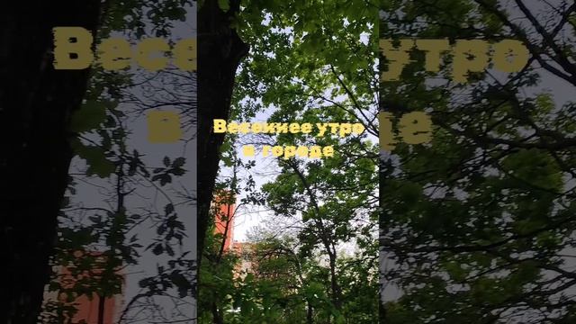 Чудесное звонкое утро в городе. смотреть онлайн