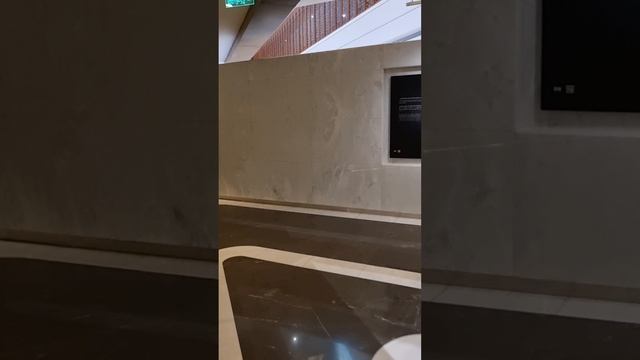 Выставка постройки мечети смотреть онлайн