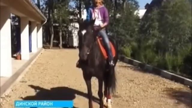 Новости // Центр Спортивной Подготовки №5 смотреть онлайн