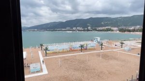 Обзор HONDA ELEMENT, яркие путешествия 🚗