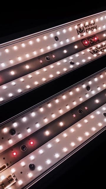 240вт Фарминг смотреть онлайн