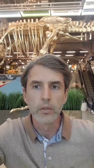 Топ компании которые могут порадовать своих инвестор? смотреть онлайн