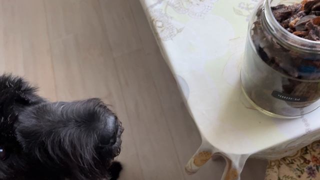 Домашние заготовки вкусняшек для собаки своими руками