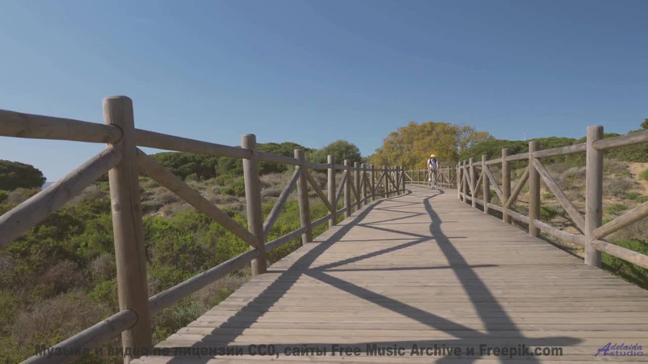 Почувствуйте, как стресс растворяется под этот саундтрек! - Horsey -- Overhill Ln -- OPULENT