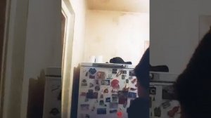 Фильм Донни Браско - (1997 года ) часть 1