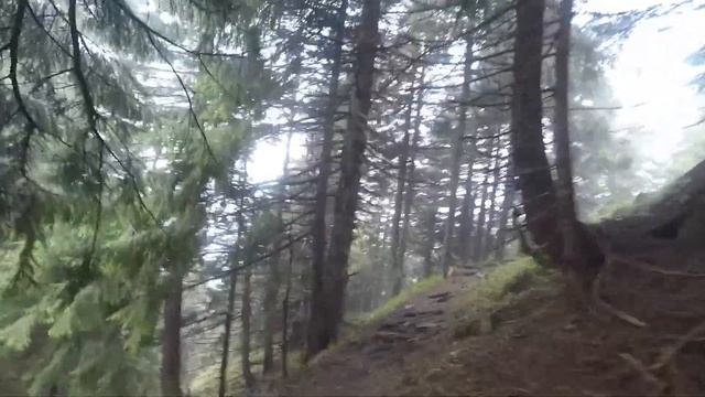 Похмурі Сивулі та привітний Ігровець