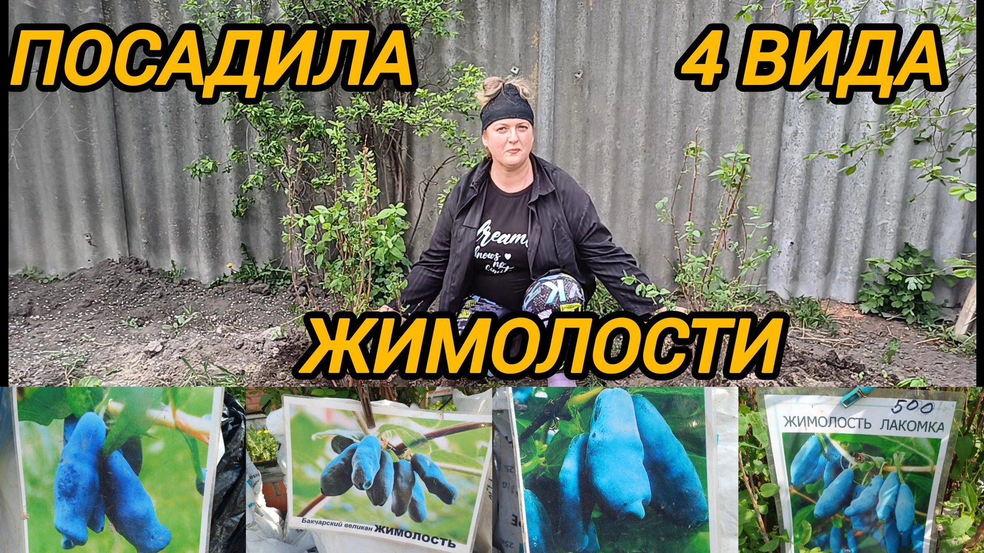 САЖАЮ ЧЕТЫРЕ ВИДА ЖИМОЛОСТИ ЗА 2000 РУБЛЕЙ/ 25 АПРЕЛЯ 2025 ГОДА смотреть онлайн